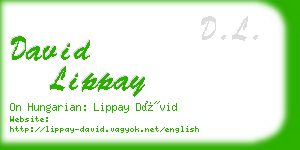 david lippay business card